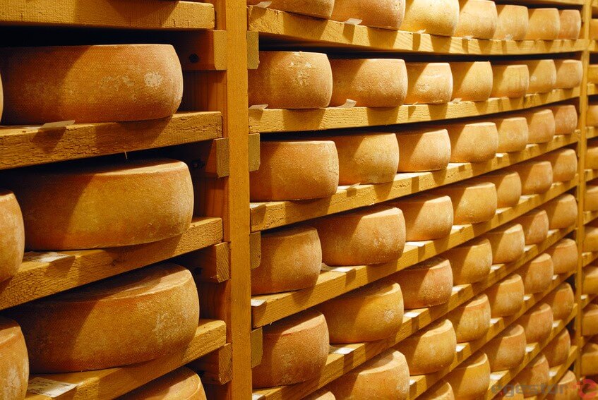 Como montar uma fábrica de queijo artesanal