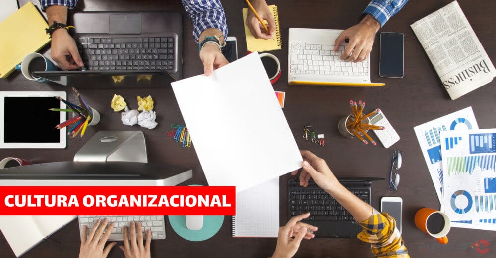 Cultura Organizacional