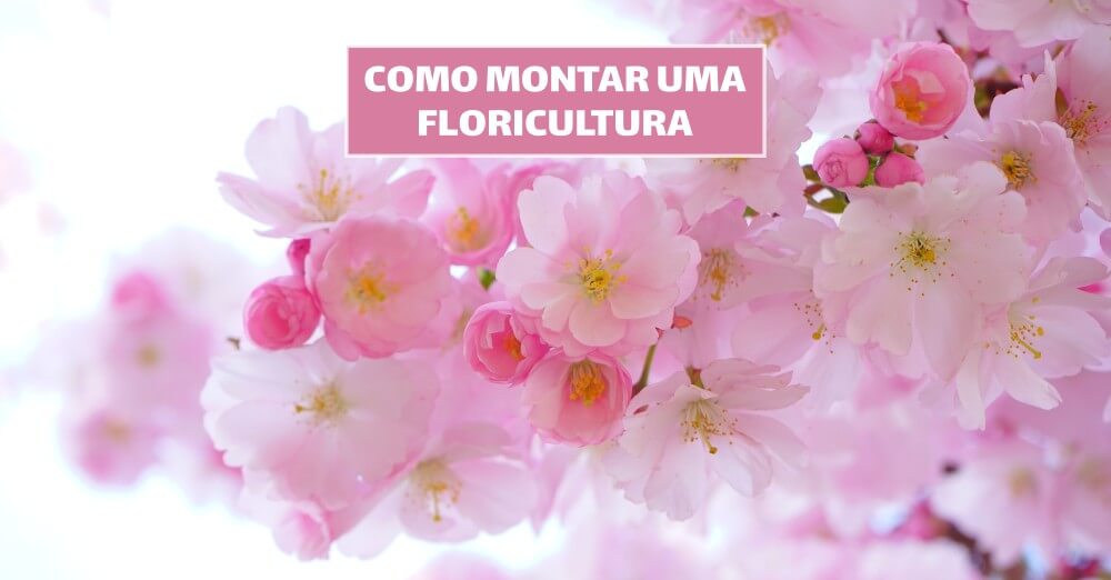 Como montar uma floricultura