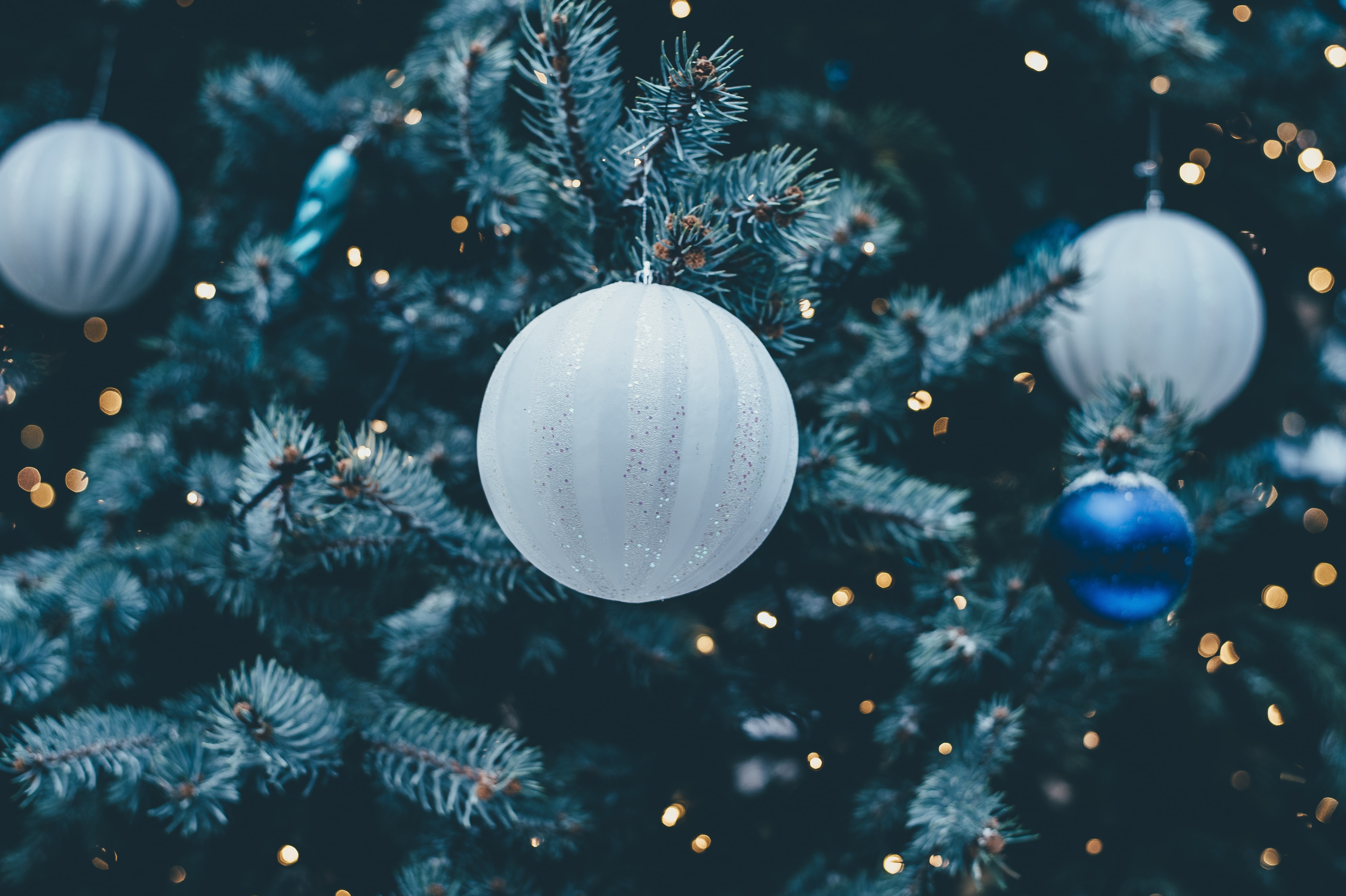 natal