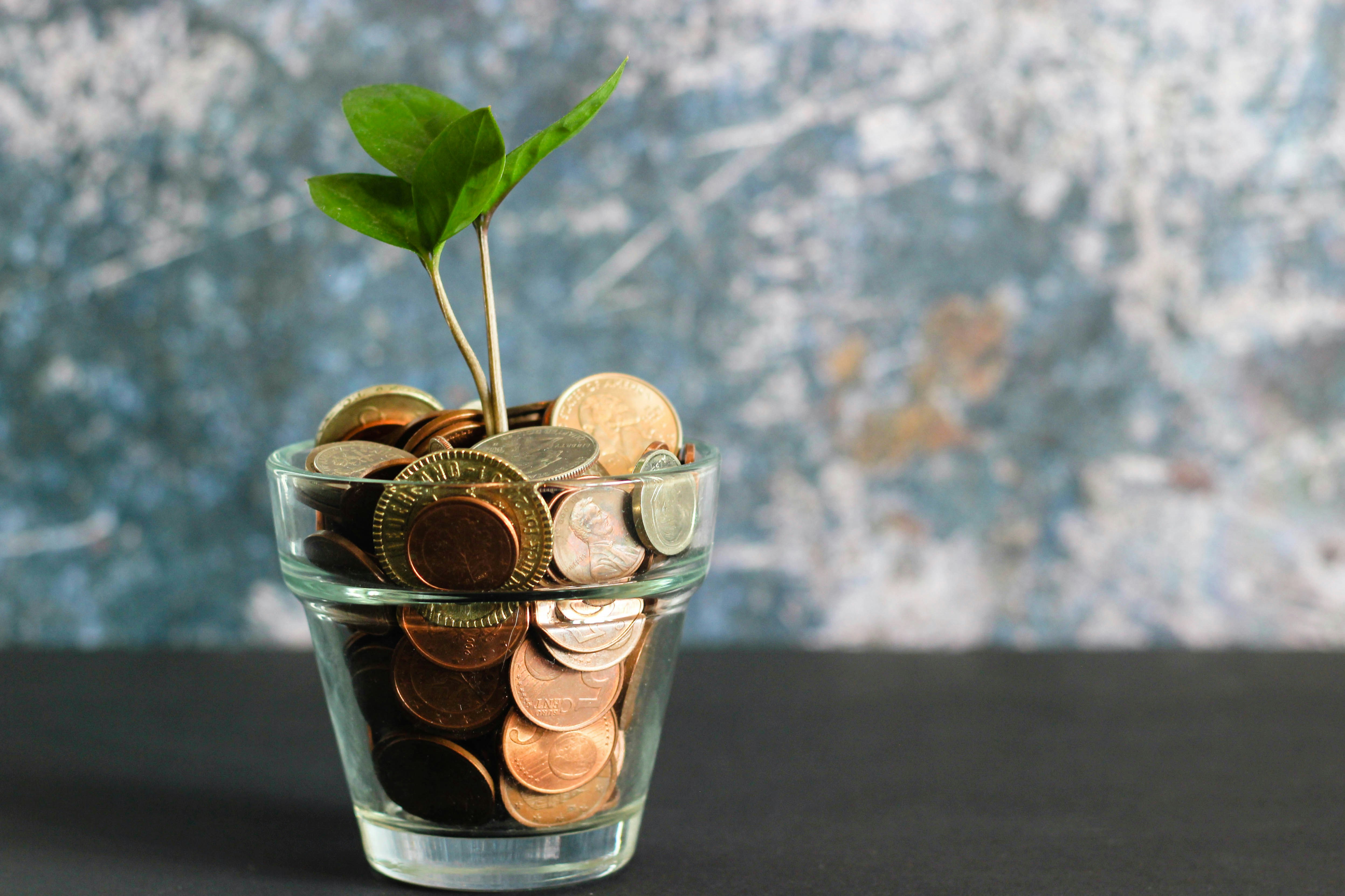 A imagem captura uma representação criativa e simbólica de crescimento e investimento. Um pequeno broto de planta com duas folhas verdes vibrantes está crescendo no meio de uma pilha de moedas, sugerindo temas de crescimento financeiro ou investimento com resultados positivos.