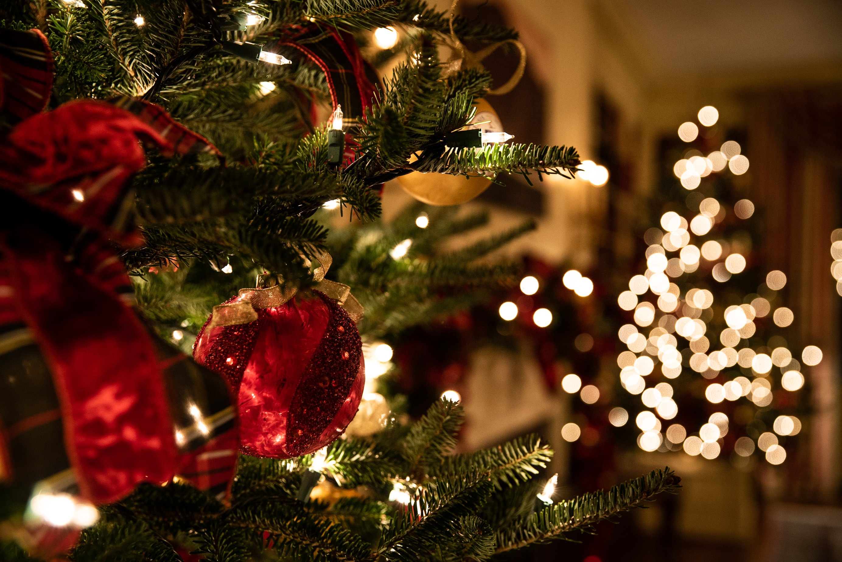 natal